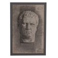 Framed Drawing of Bust