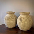 Pair of Willy Guhl Pots