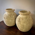 Pair of Willy Guhl Pots