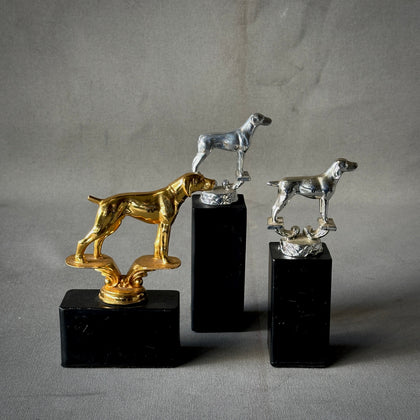 MOUNTED MODELS OF DOGS