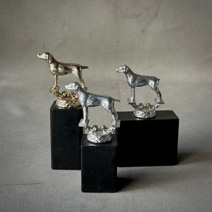 MOUNTED MODELS OF DOGS