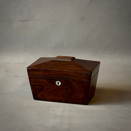 Georgian Rosewood Sarcophagus Tea Caddy Box